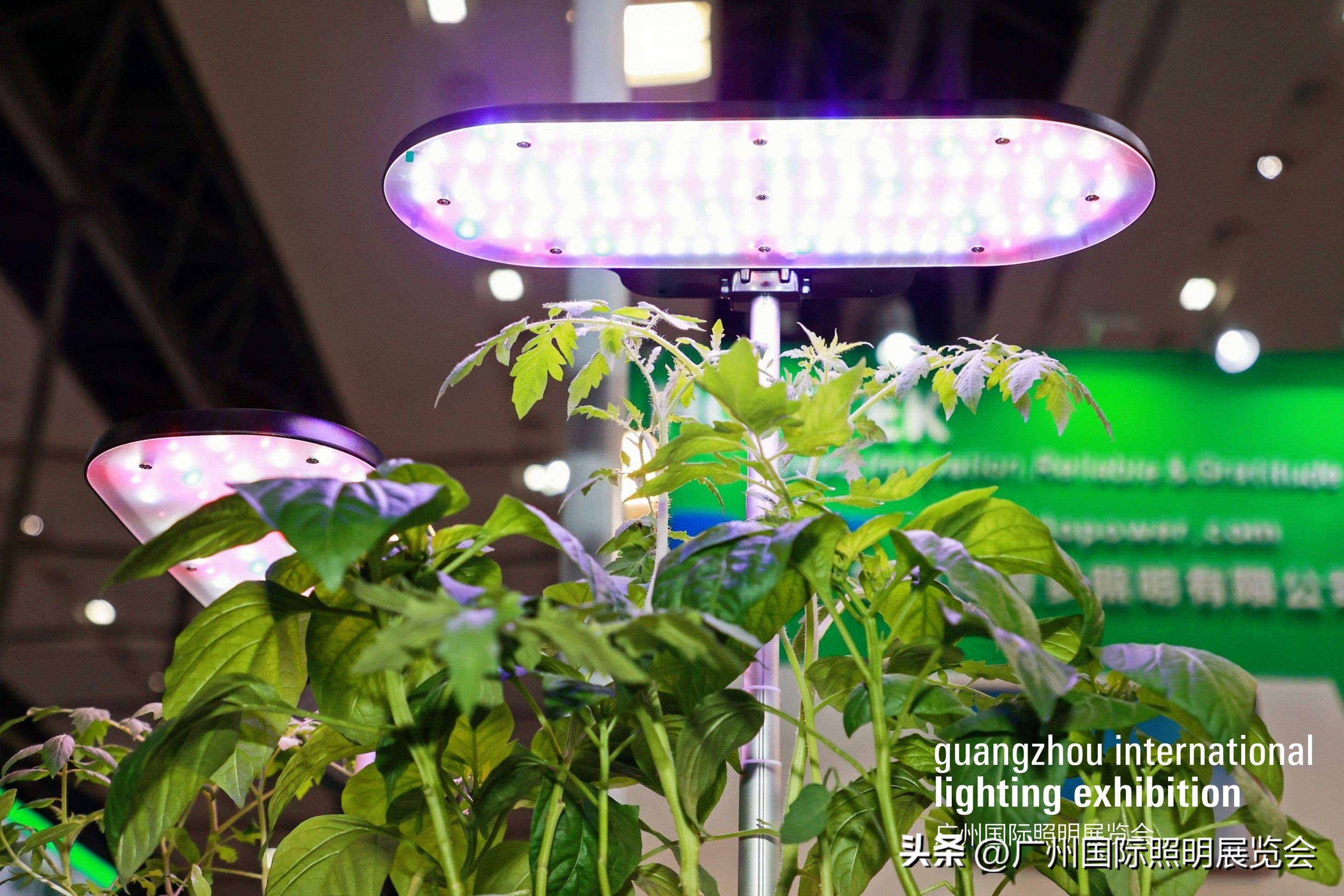 2024年光亚照明展会,光亚照明展