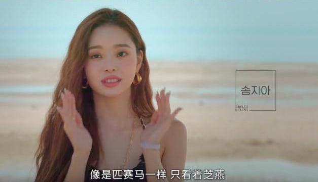 别把宋智雅吹上天了