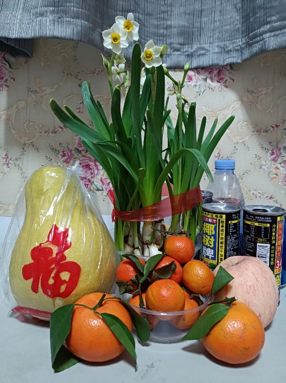 散文兰花500字,散文水仙花