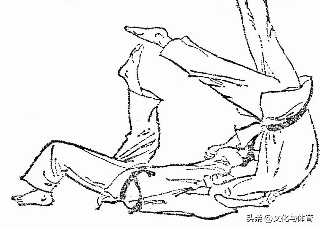 柔道解读,对柔道的理解