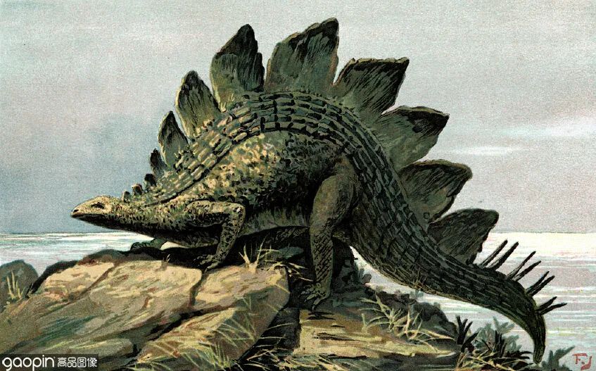 侏罗纪世界进化3恐龙打架,恐龙电影侏罗纪3