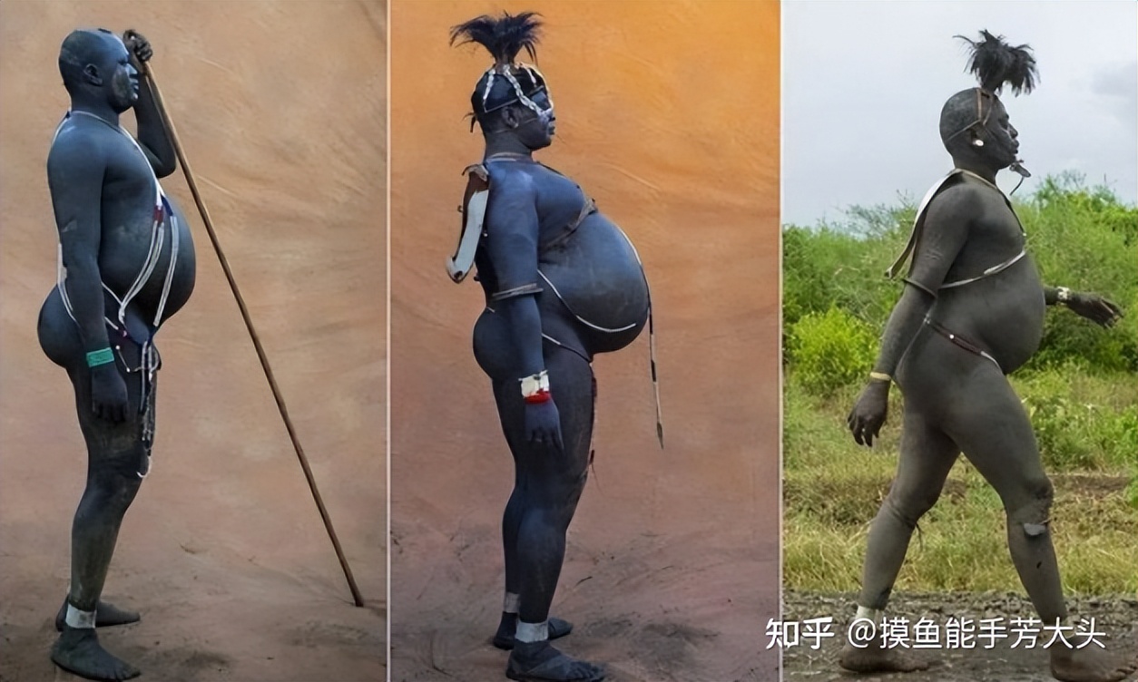 你知道的最震惊的冷知识是什么？