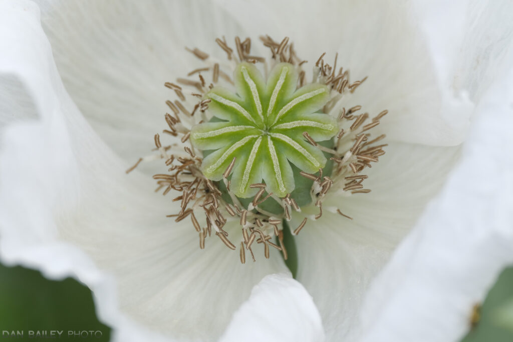 富士xf23mmf1.4镜头参数,富士xf50f2rwr镜头怎么样