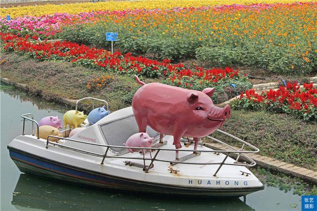 广州百万葵园葵花的花期,广州百万葵园五月份有什么花看