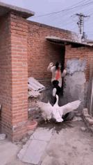 杭州最美老板娘视频,最美老板娘网友连夜赶往现场