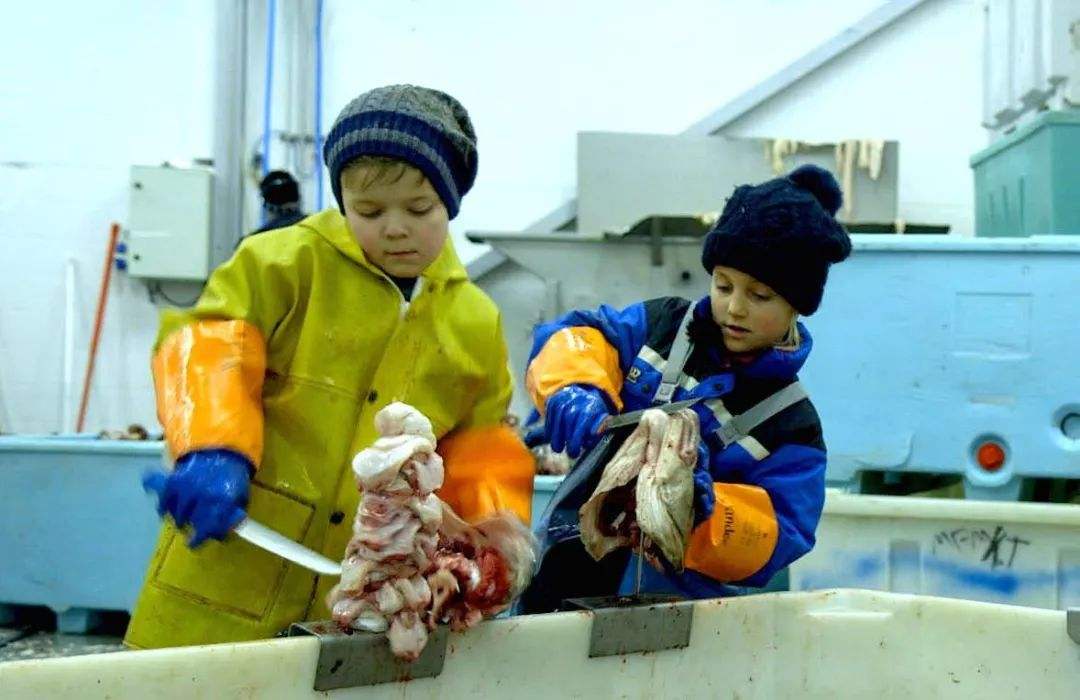 这就是挪威人的童年：10岁就可以靠自己买游艇，中国小孩羡慕哭了