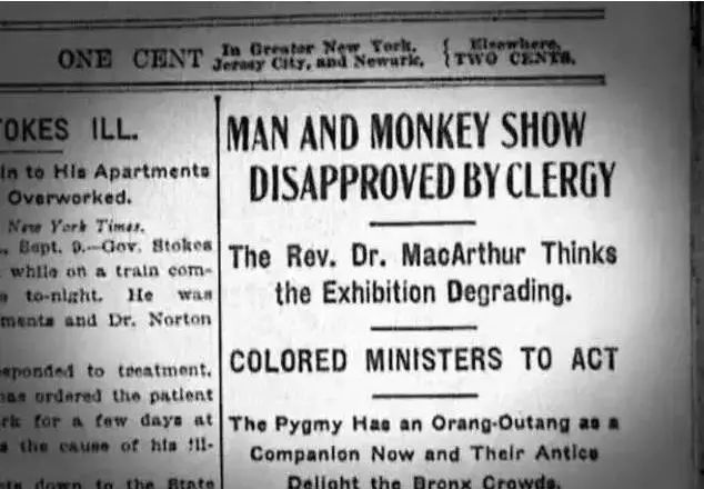 动物把人类关在笼子当宠物,把人类关进笼子的动物园