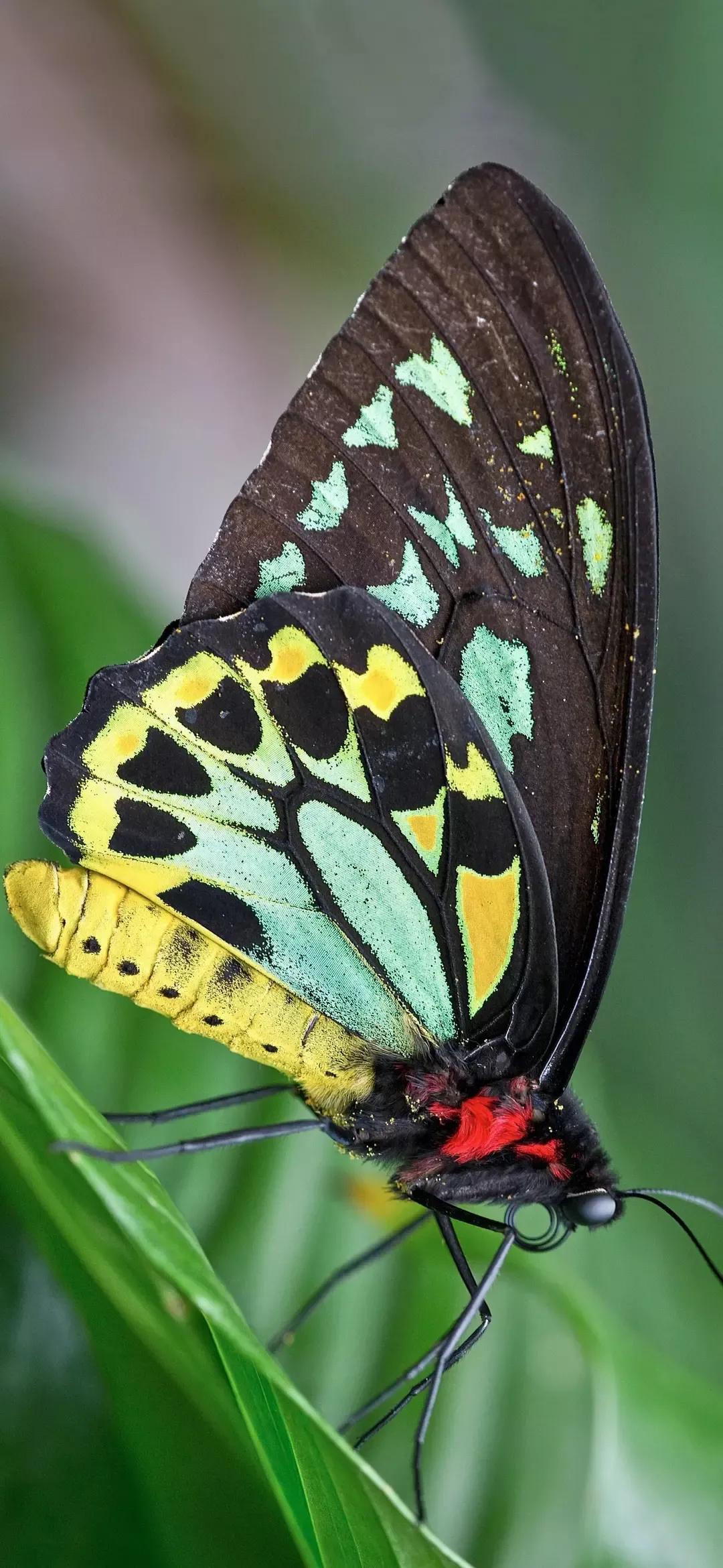 歼20高清壁纸4k全屏无水印,精选壁纸高清无水印高级感