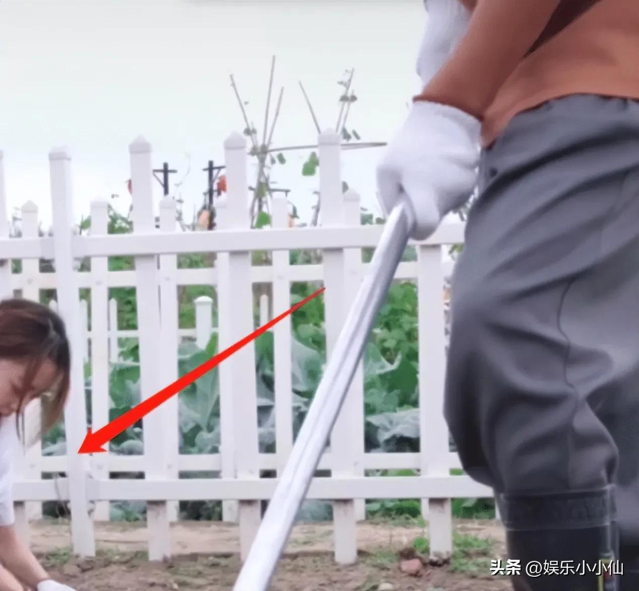 王宝强深夜与友人聚会,王宝强与女友共进烛光晚餐视频