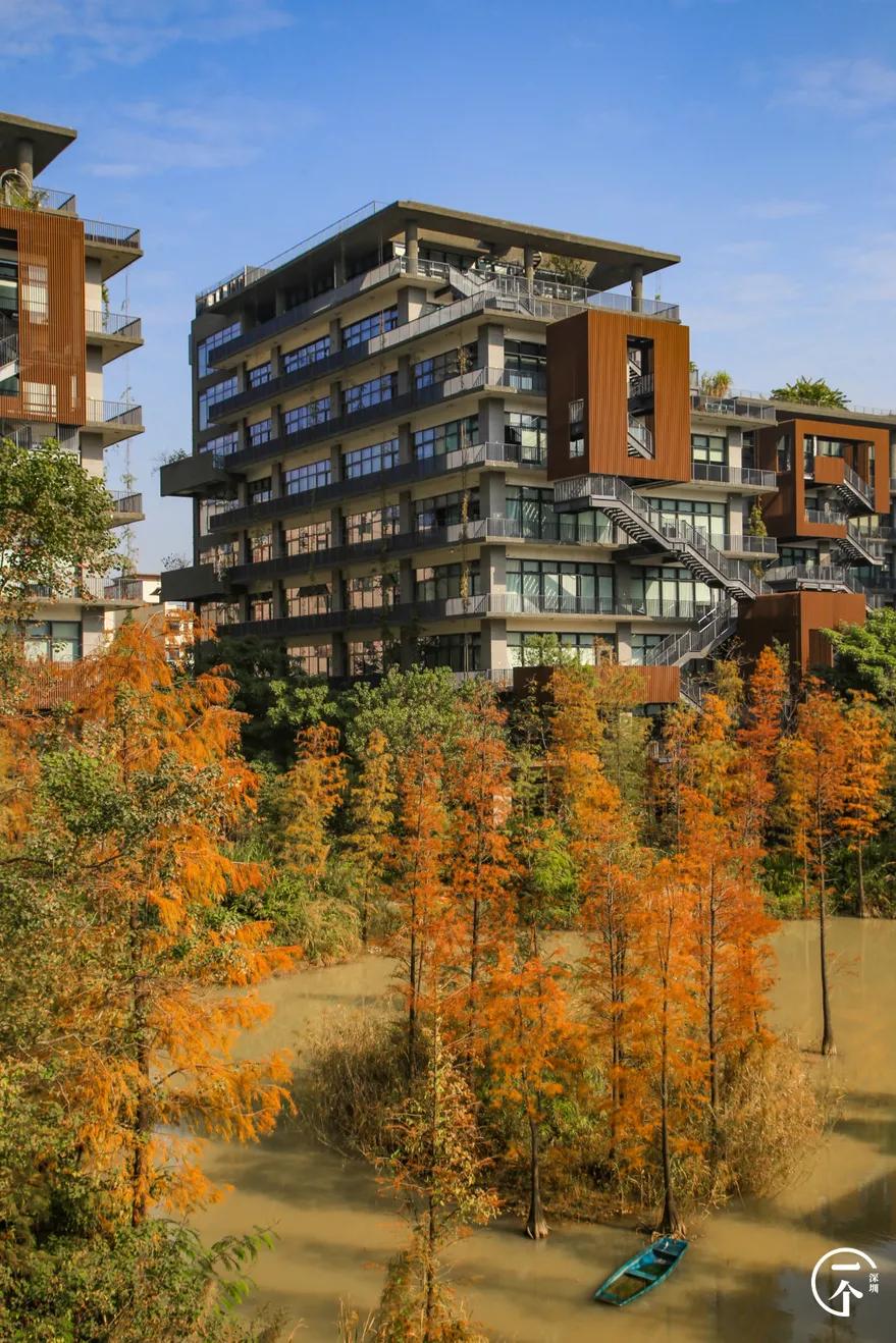 深圳4个绝美海岛,深圳值得游玩的小岛