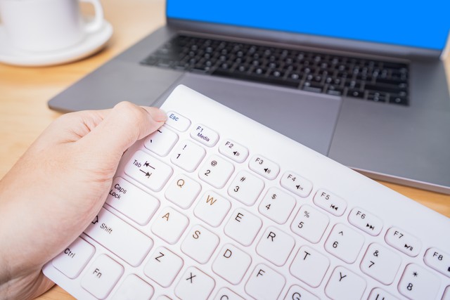 删除文件怎么恢复手机,手机管理文件里删除文件怎么恢复