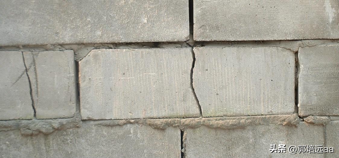 钢、竹、藤在混凝土中作钢筋的比较研究：拉伸和弯曲特性