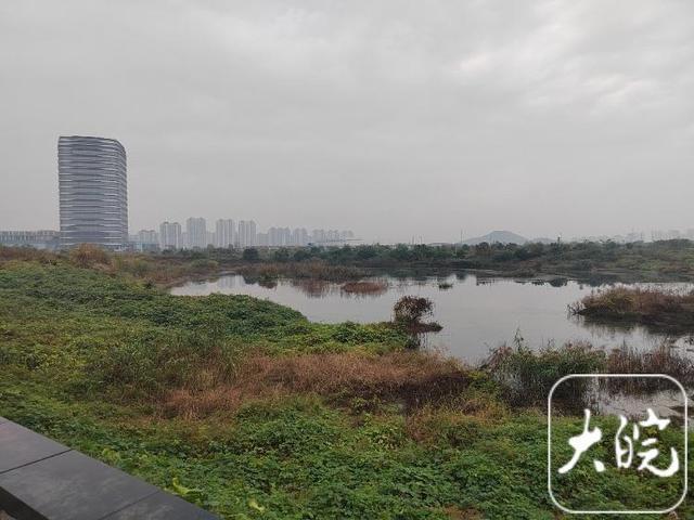 苏州毒地附近居民发声,苏州毒地小区房价已大跌