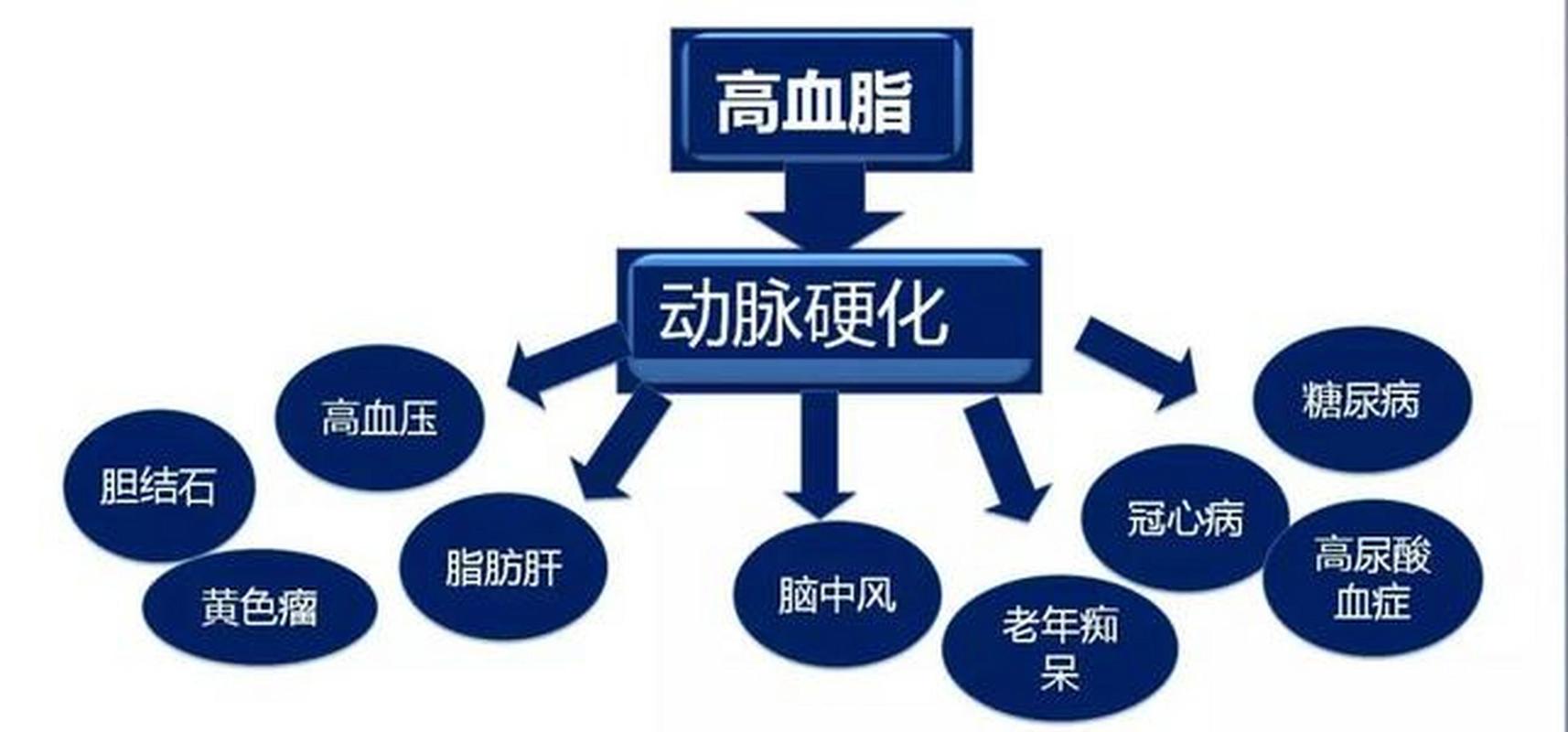 猪油是营养品还是心血管杀手,一勺猪油等于五副药