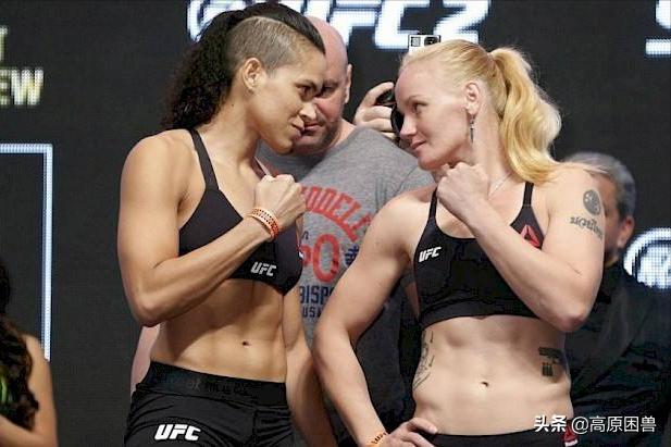 母狮阿曼达最新比赛战况,母狮阿曼达退役