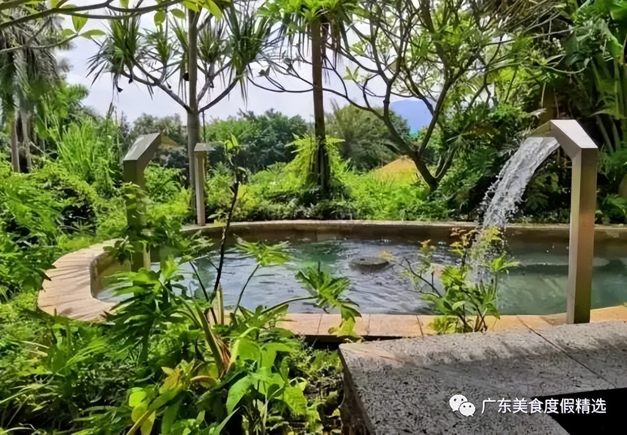 广州增城金叶子温泉推荐,增城金叶子半山温泉公寓