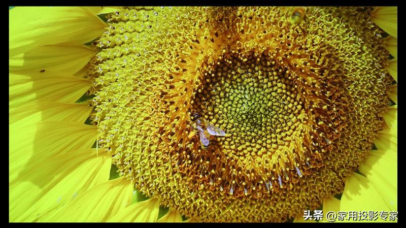 索尼xw5000投影机评测,索尼kvpl-xw5000投影