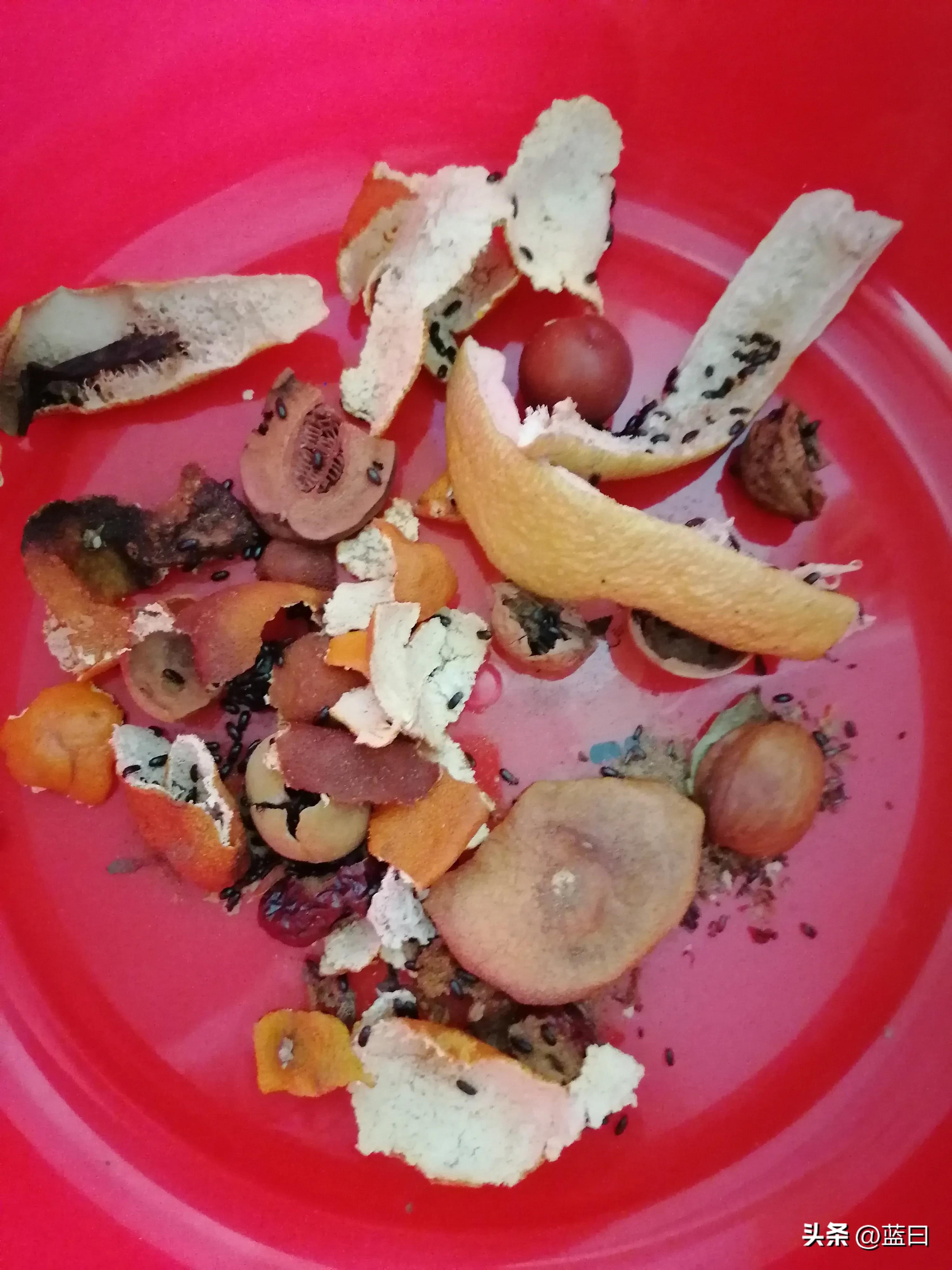 虫子宝宝和虫子妈妈,妈妈陪宝宝夹虫子