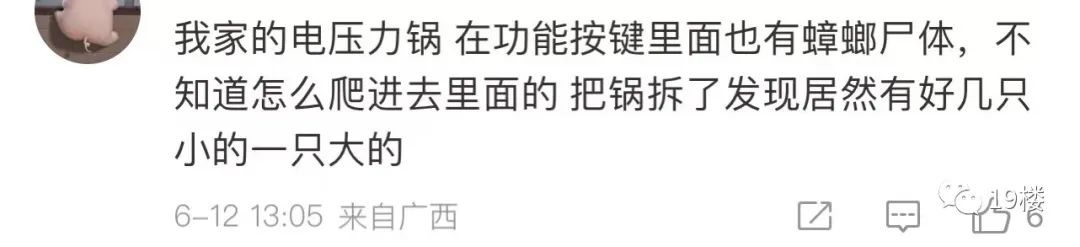 过敏原检测为蟑螂,过敏源是蟑螂过敏怎么办