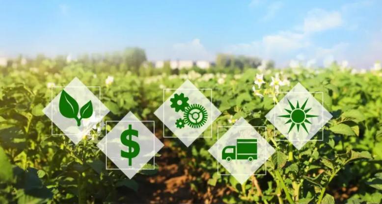 落地科技+服务,构建数字乡村新图景|农业行业观察专访新华三