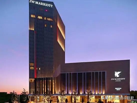 万豪集团的进化论