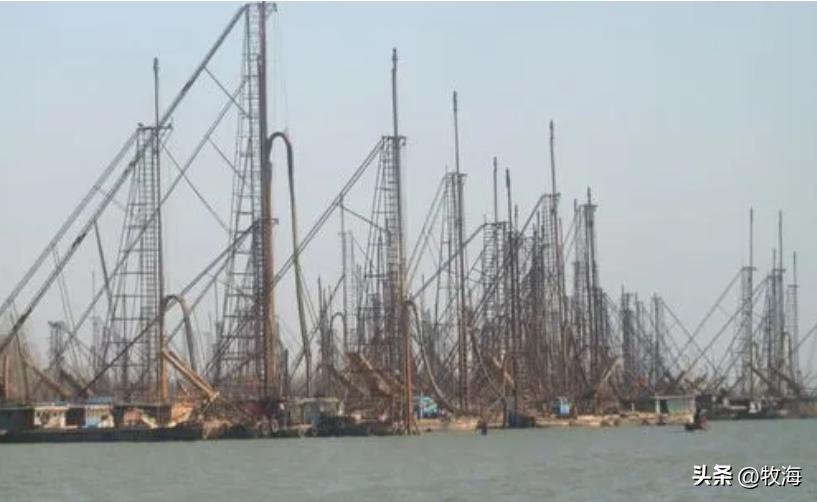 骆马湖菹草爆发原因,骆马湖采砂纪录片