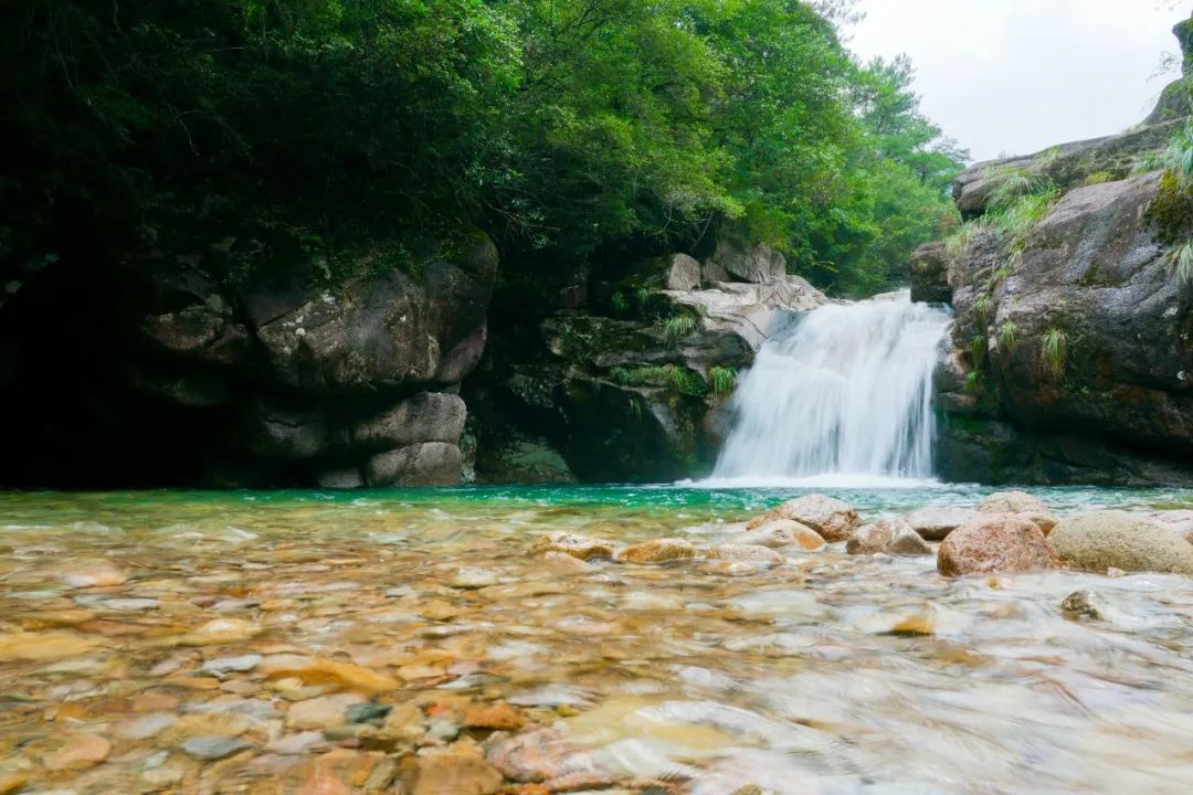 全球学子嘉游赣活动,全球学子嘉游赣活动真实吗