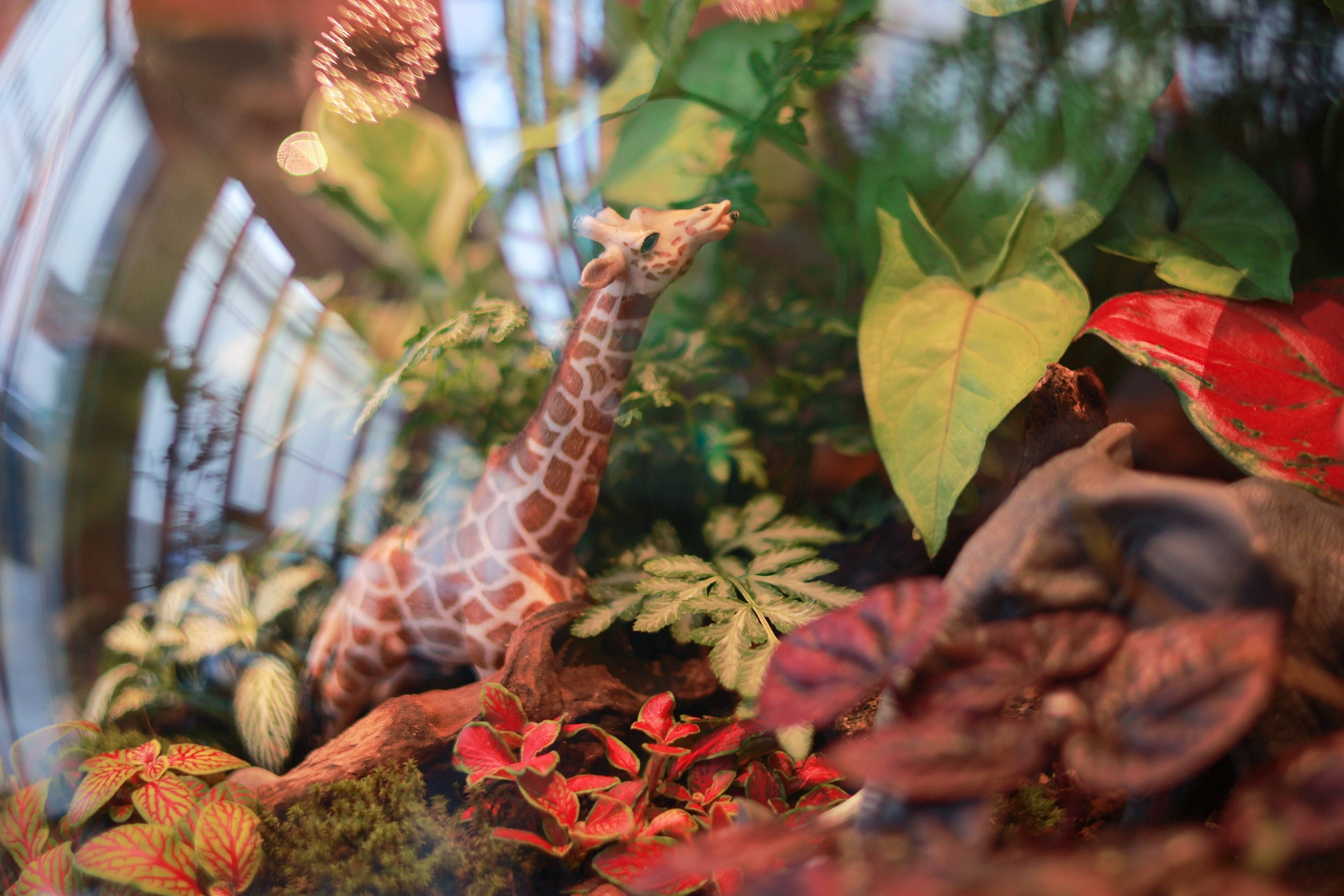 佳能eosr50详细介绍,佳能EosR50优缺点