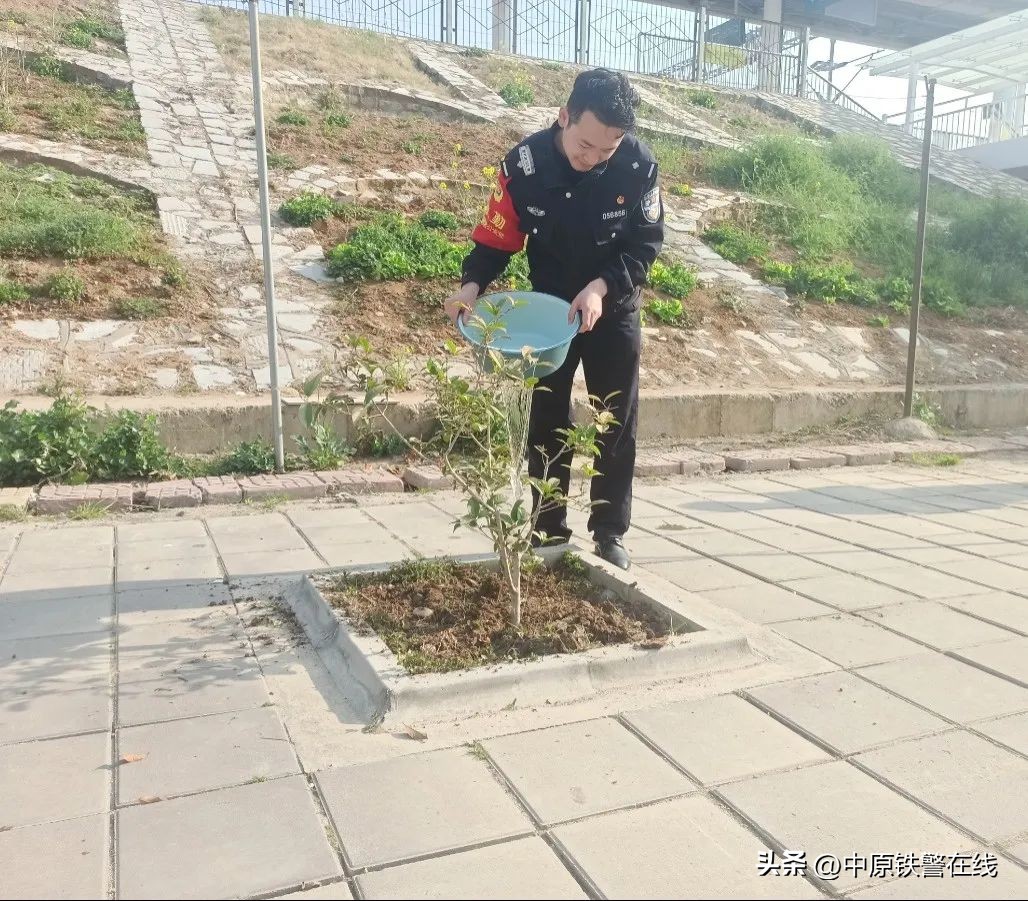 拥抱春天播种希望植树节手抄报,植树节拥抱春天播种梦想主题班会