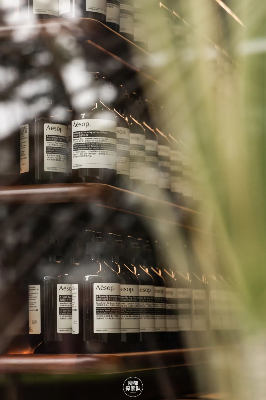 邂逅Aesop伊索全新诗意空间，感知圆融新生的传承与治愈