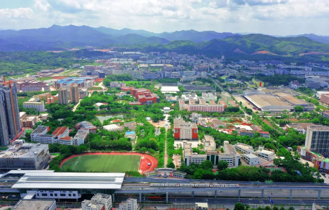 广软信息,广软直播