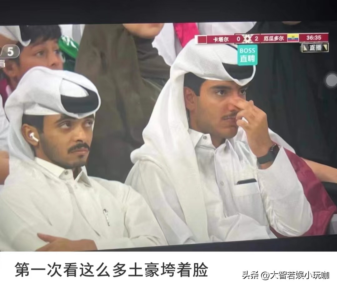 卡塔尔世界杯进球最搞笑,卡塔尔世界杯决赛搞笑版