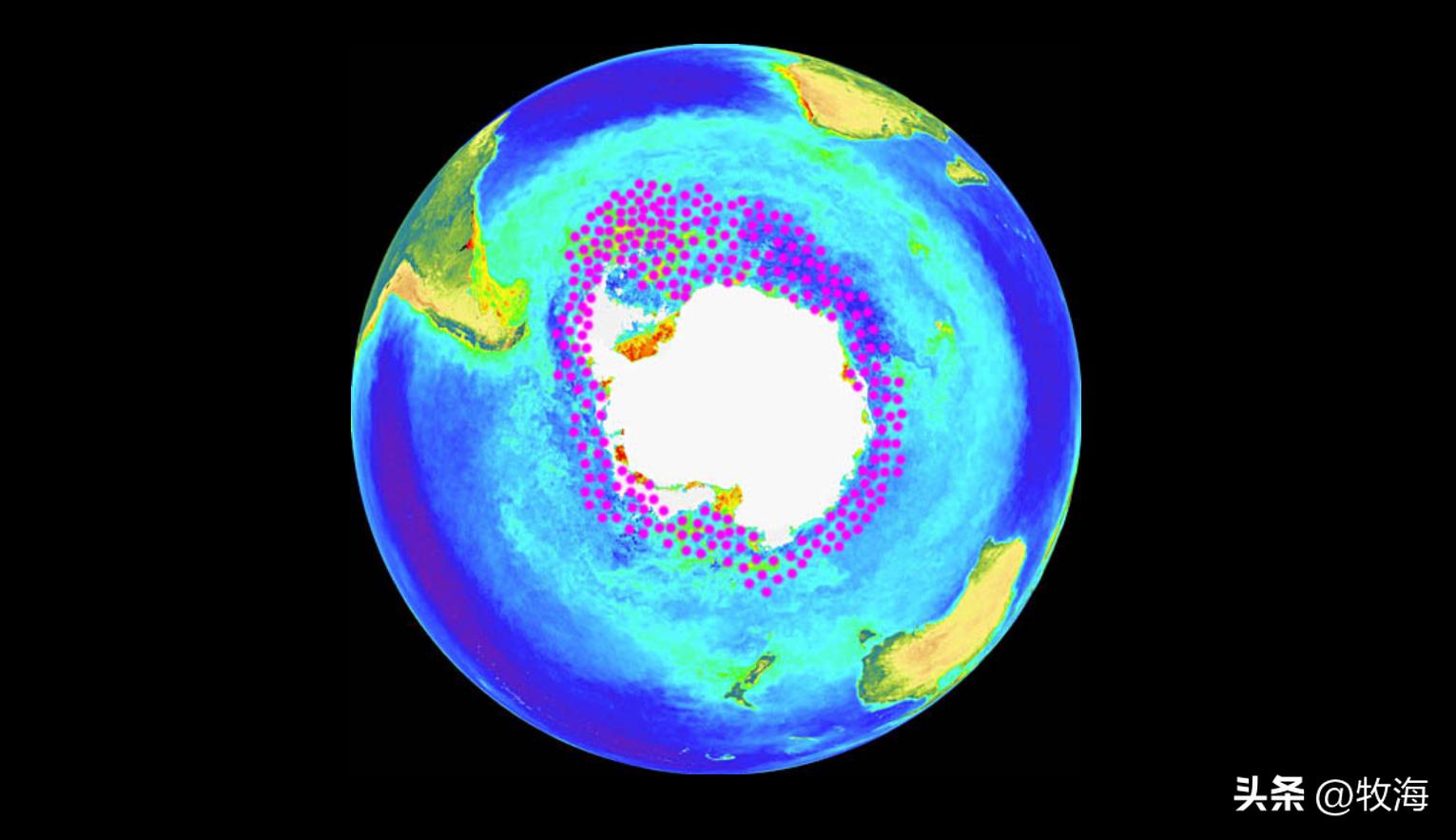 南极磷虾船最新消息,南极磷虾大爆发