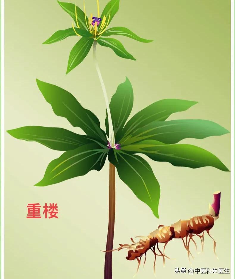 这些食疗法都是骗人的千万别信,三个民间偏方不可信