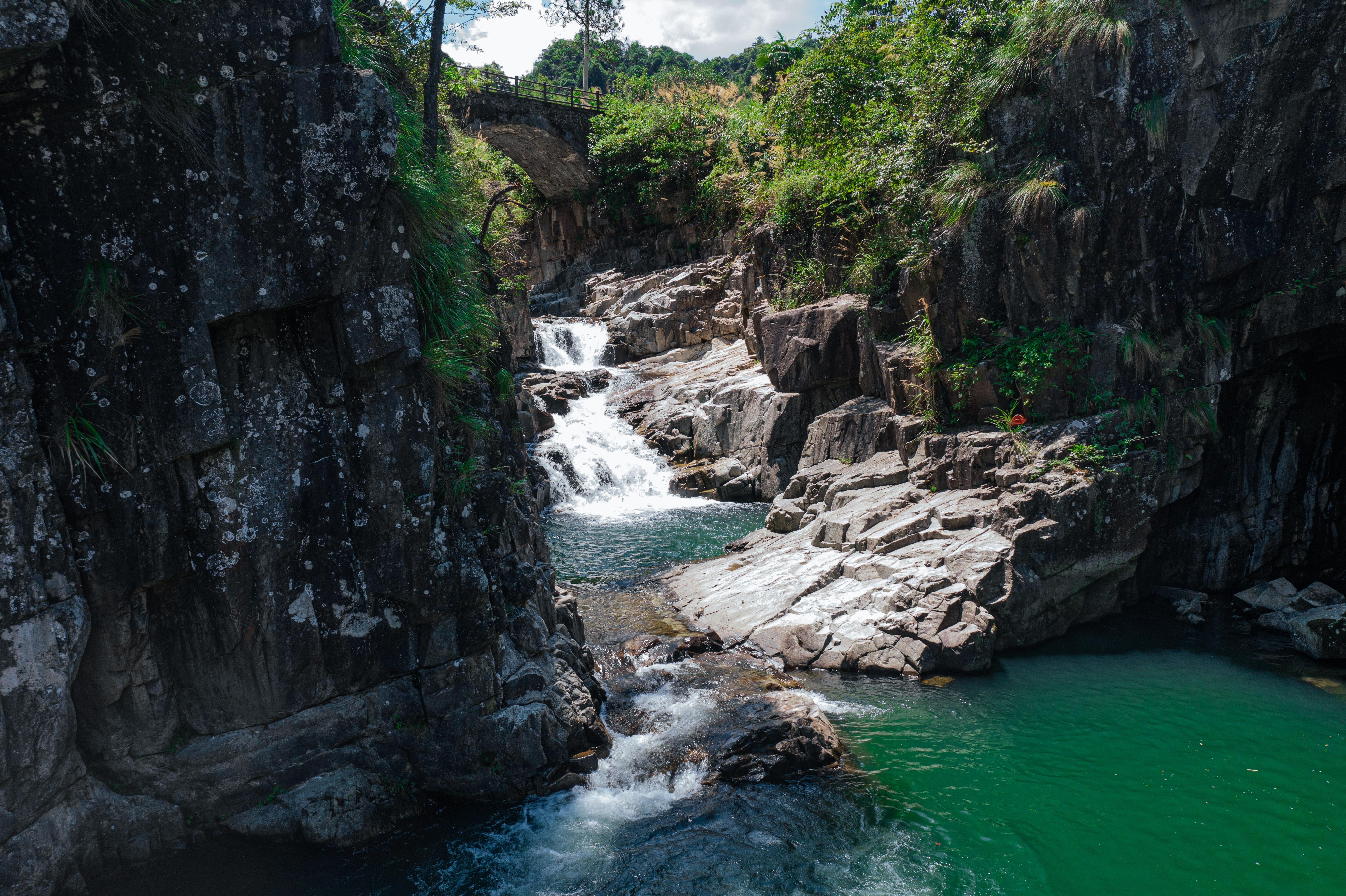 行游五府山：解密3宝，山野美味游走舌尖，传递平实的幸福