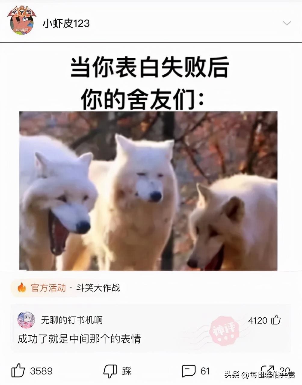 「盐选神回复」难道她发现我的程序出了BUG？