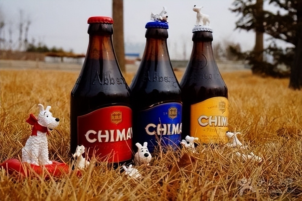 比利时企业发展前景,比利时经济发展现状