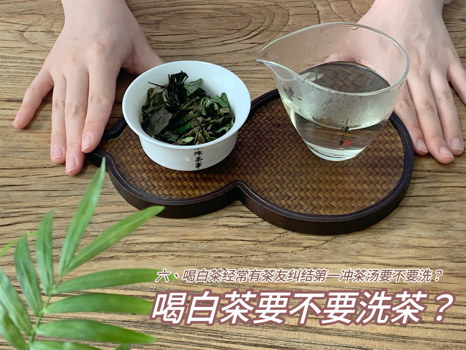 什么是沸水洗茶,洗茶水温多少合适