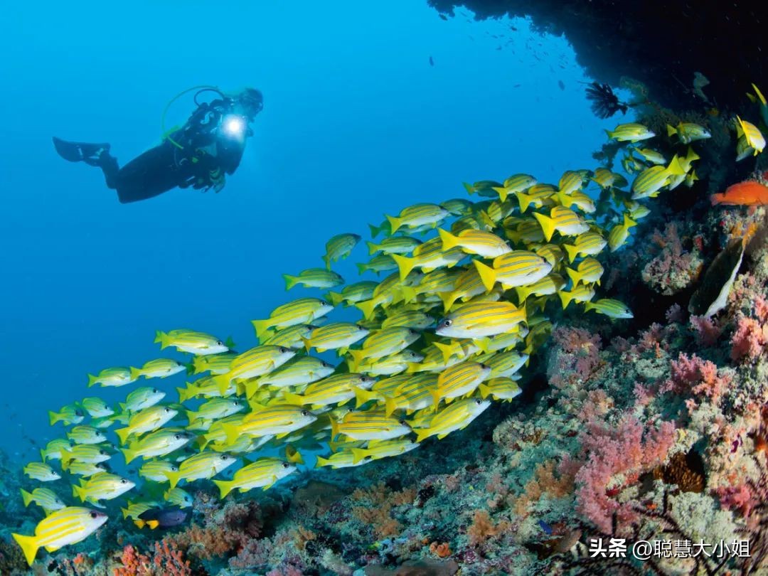 泰国飞马尔代夫,泰国飞马尔代夫几小时