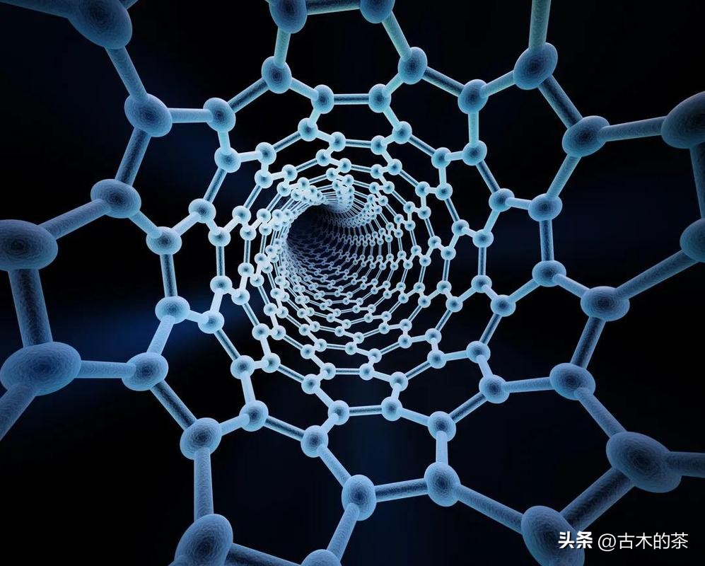 管间连接聚合物结构和形态，对共扼聚合物/碳纳米管的影响