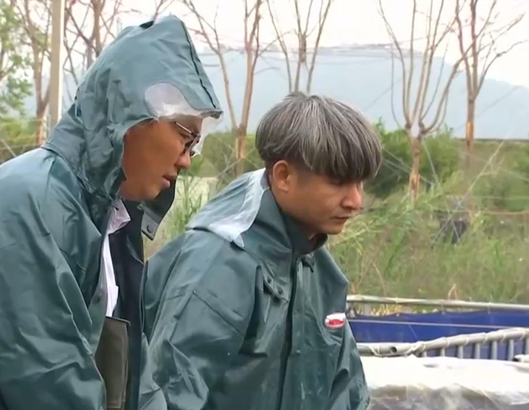 养殖罗非鱼一年赚500万,凤台县大棚养殖罗非鱼