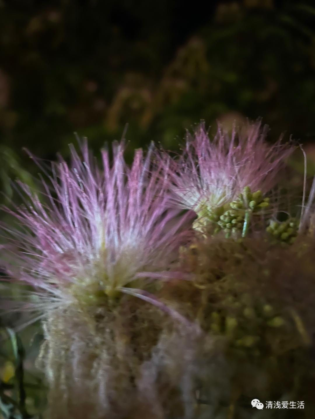 欣赏景德镇邹资良陶瓷艺术作品选,景德镇人气最旺的瓷器街