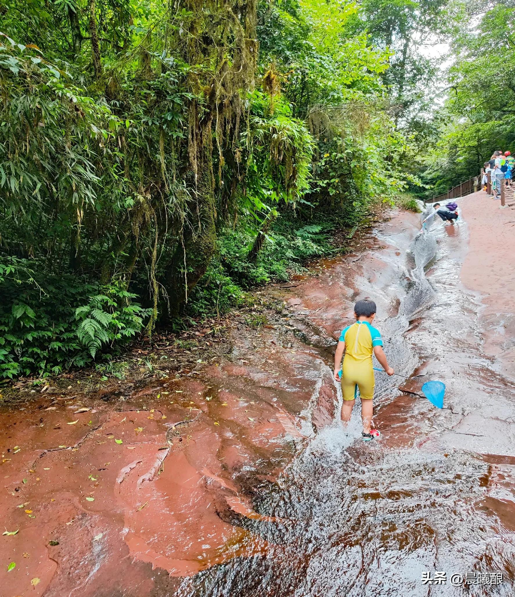 夏天的时候去天台山玩可开心了,暑假邛崃天台山旅游攻略