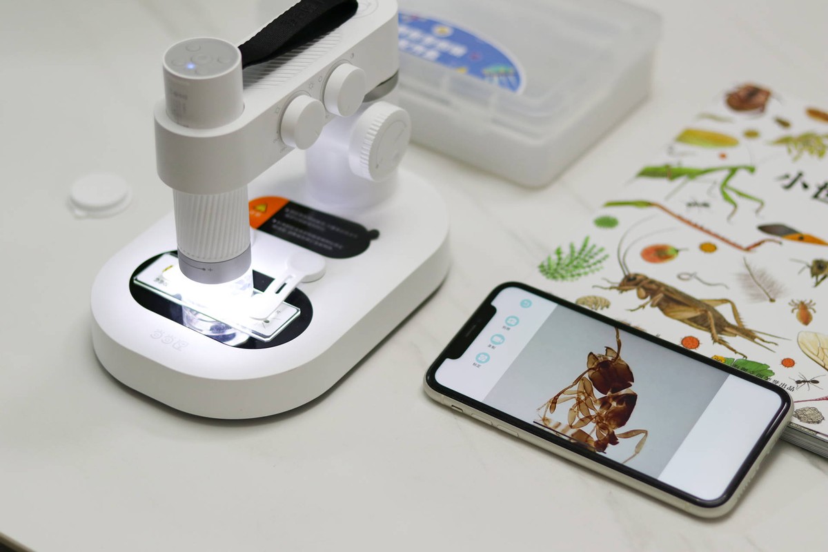 孩子从沉迷手机到主动学习,孩子从玩手机到认真学习的蜕变