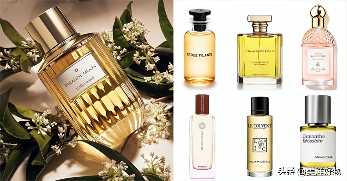 香水排行榜前十名雅诗兰黛,香水推荐大牌100左右秋冬女