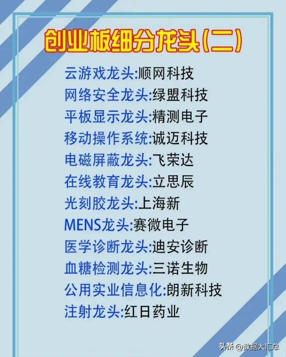 中成药股细分龙头,行业龙头板块有哪些股票