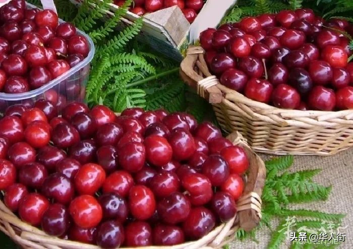 意大利超市樱桃的价格是供应商的10倍！引发农民极度不满