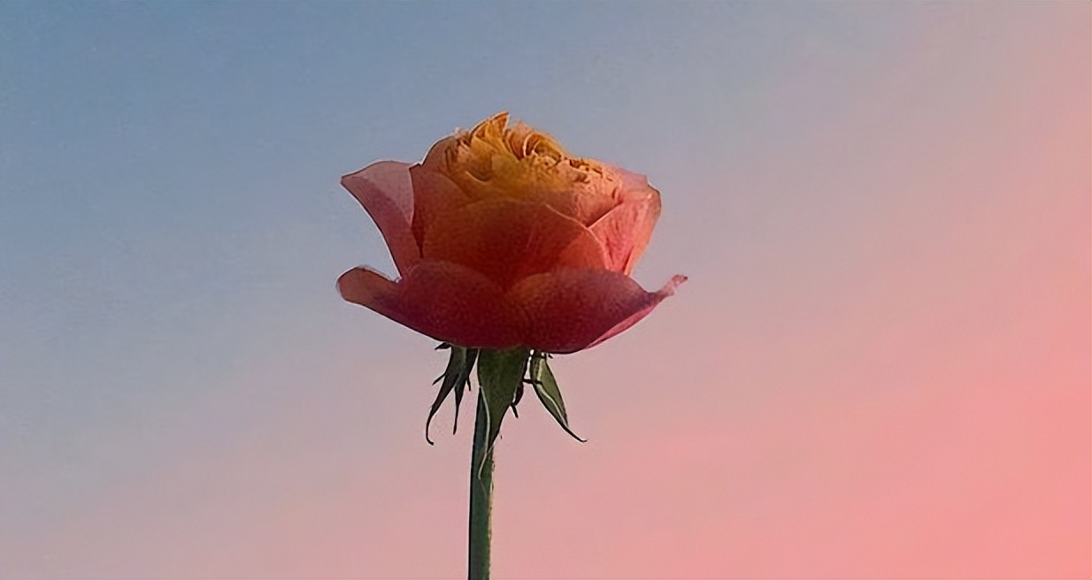 长沙银行再融资贷款怎么样,能不能从银行贷款把所有外债还了