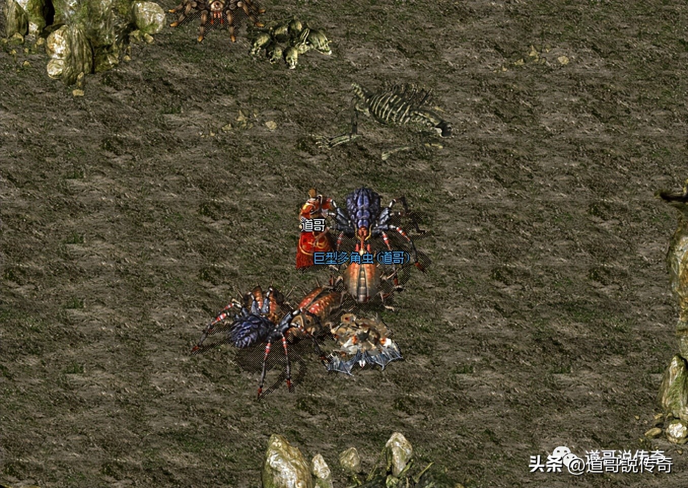 虎卫和900勇士哪个厉害,热血传奇血量