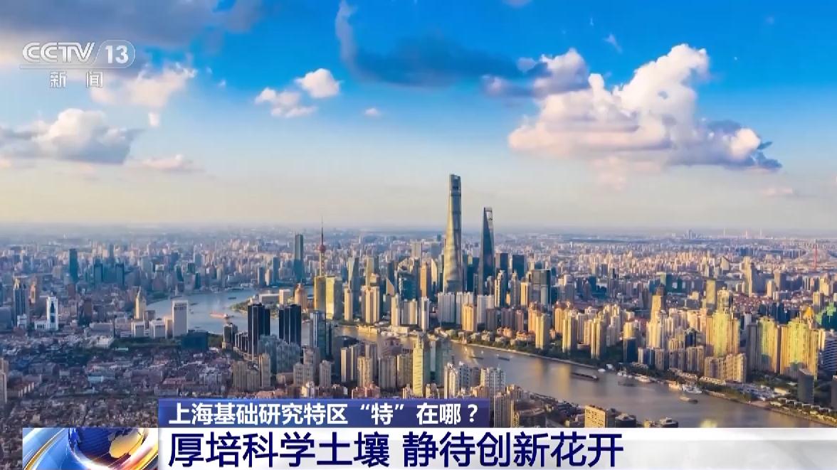 高质量发展调研行丨鼓励科学家勇闯“无人区”上海基础研究特区“特”在哪？